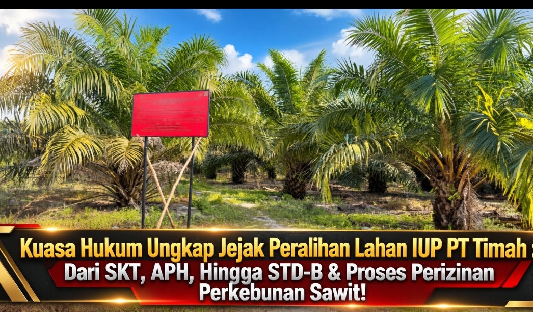 STD-B Rudy Hermanto dan Luci Terbit di Atas Lahan IUP PT Timah? Kuasa Hukum Ungkap Jejak SKT hingga APH